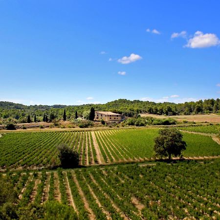 Domaine De Palats Guest House Laure-Minervois Екстериор снимка