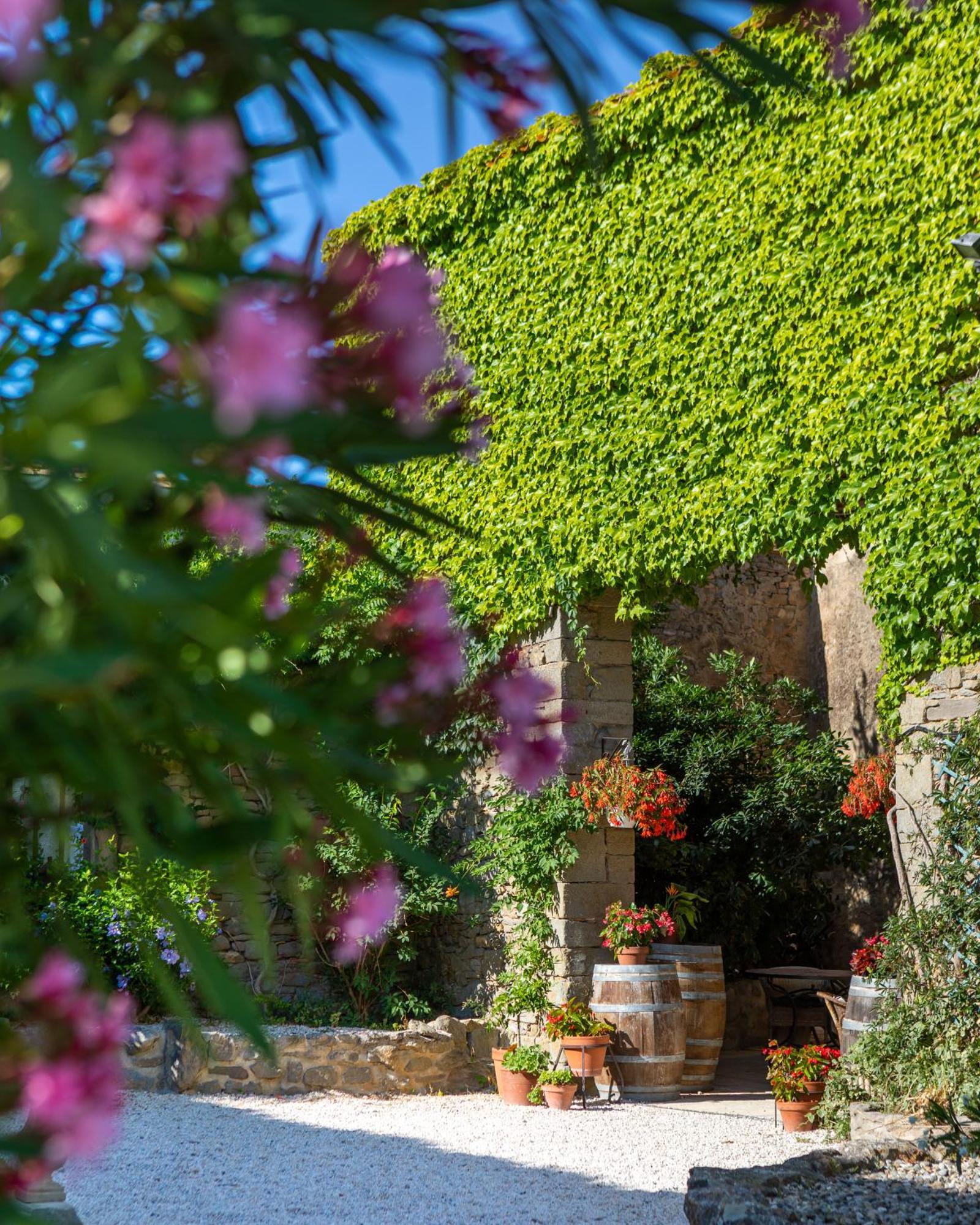 Domaine De Palats Guest House Laure-Minervois Екстериор снимка