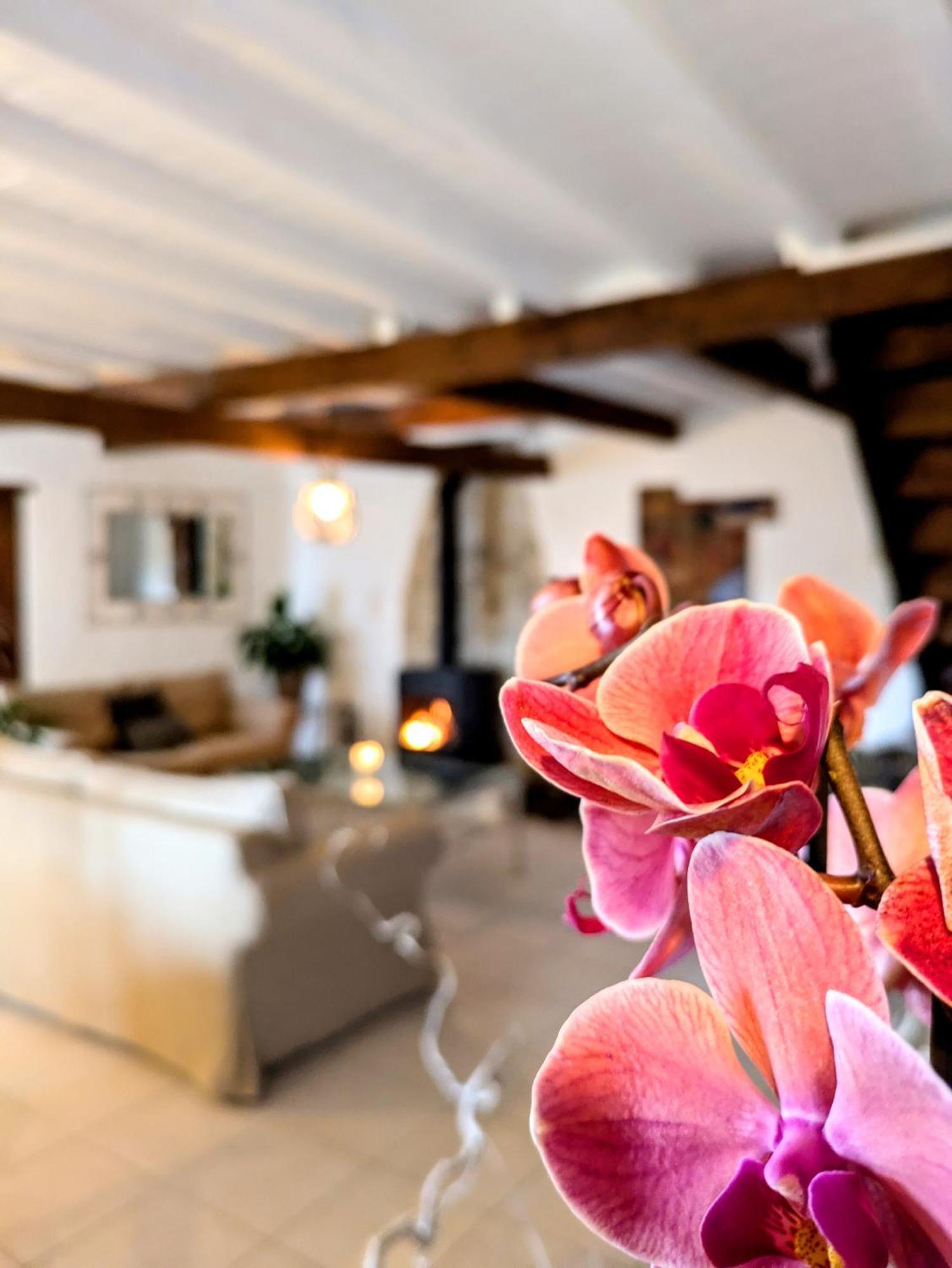 Domaine De Palats Guest House Laure-Minervois Стая снимка