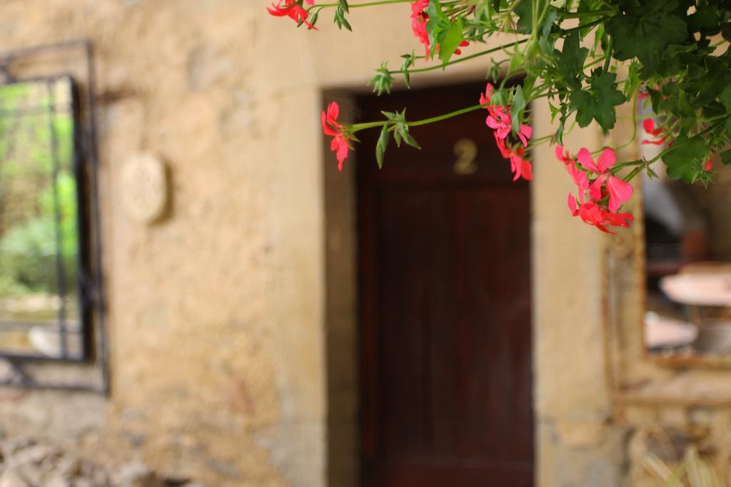 Domaine De Palats Guest House Laure-Minervois Екстериор снимка