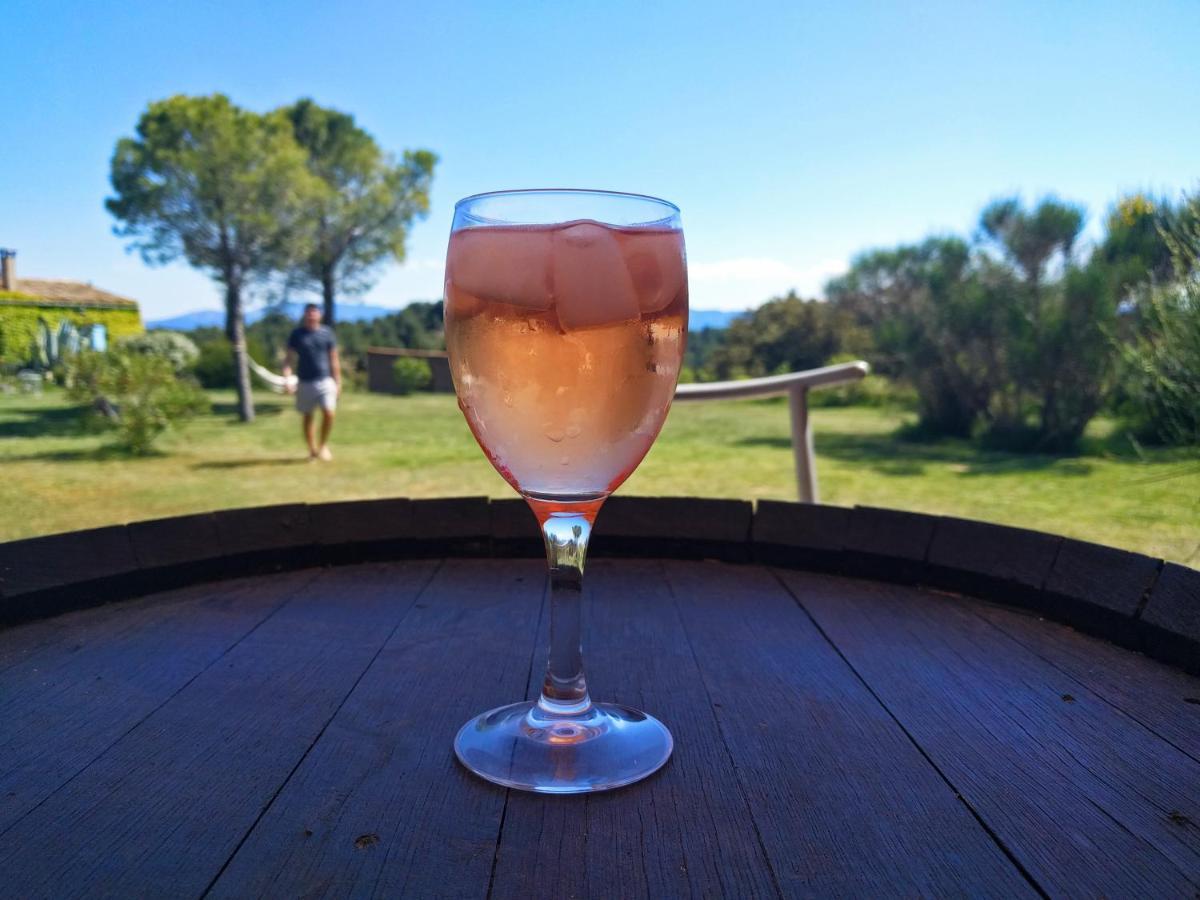 Domaine De Palats Guest House Laure-Minervois Екстериор снимка