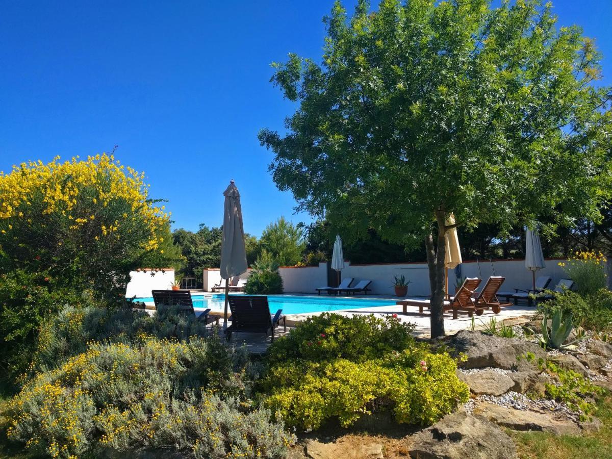 Domaine De Palats Guest House Laure-Minervois Екстериор снимка