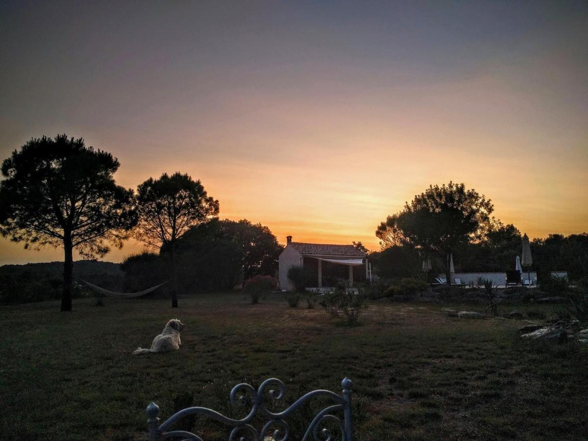 Domaine De Palats Guest House Laure-Minervois Екстериор снимка