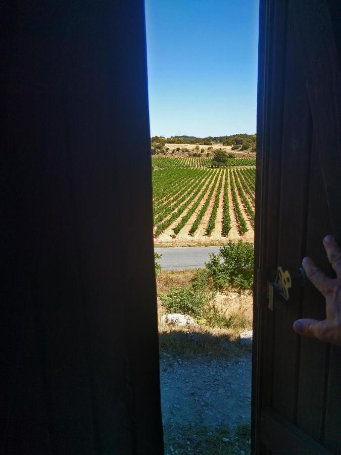 Domaine De Palats Guest House Laure-Minervois Екстериор снимка