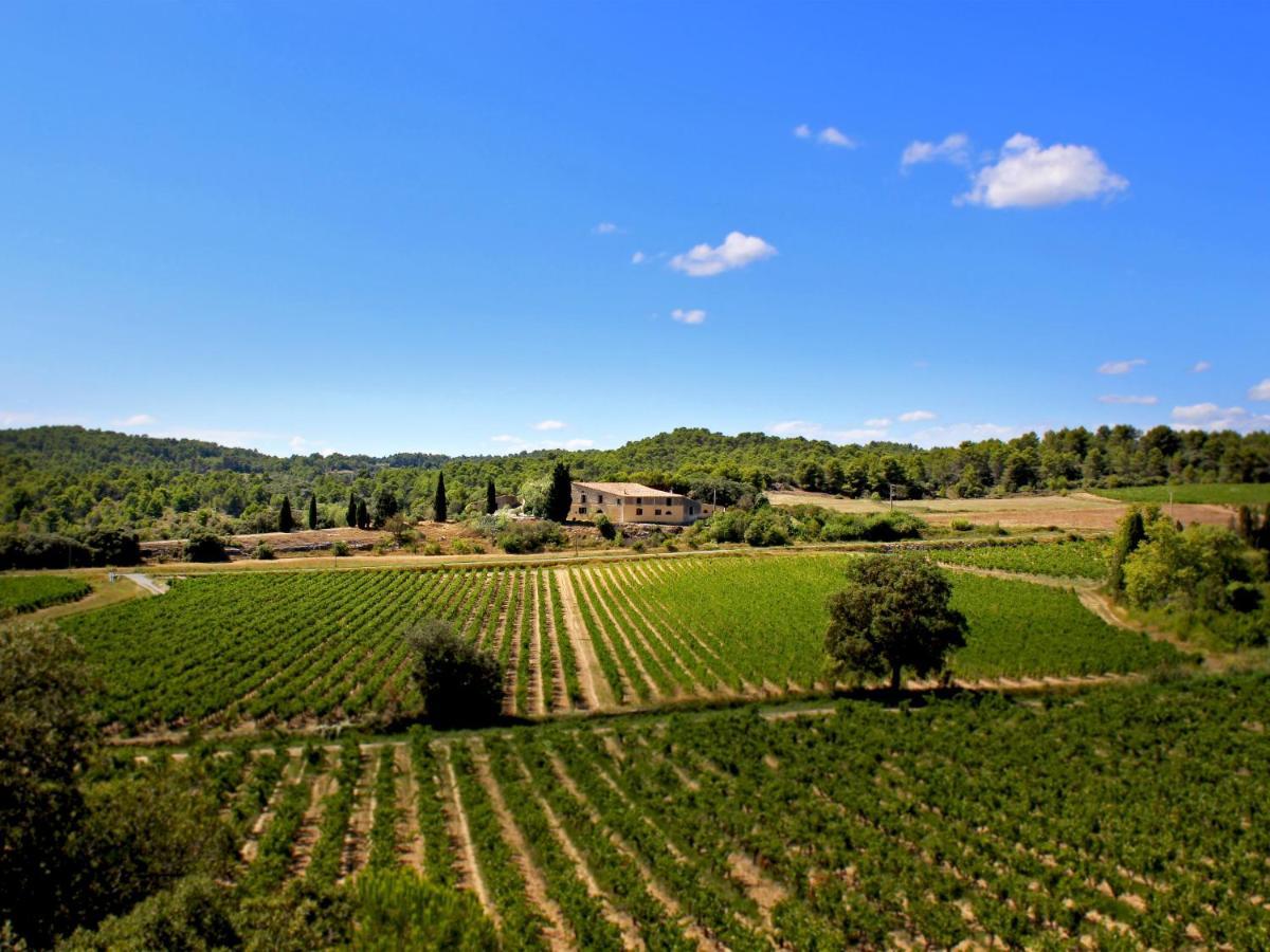 Domaine De Palats Guest House Laure-Minervois Екстериор снимка